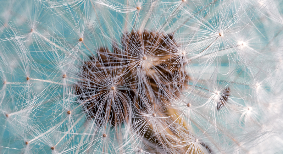 Аллергия или синдром сухого глаза?